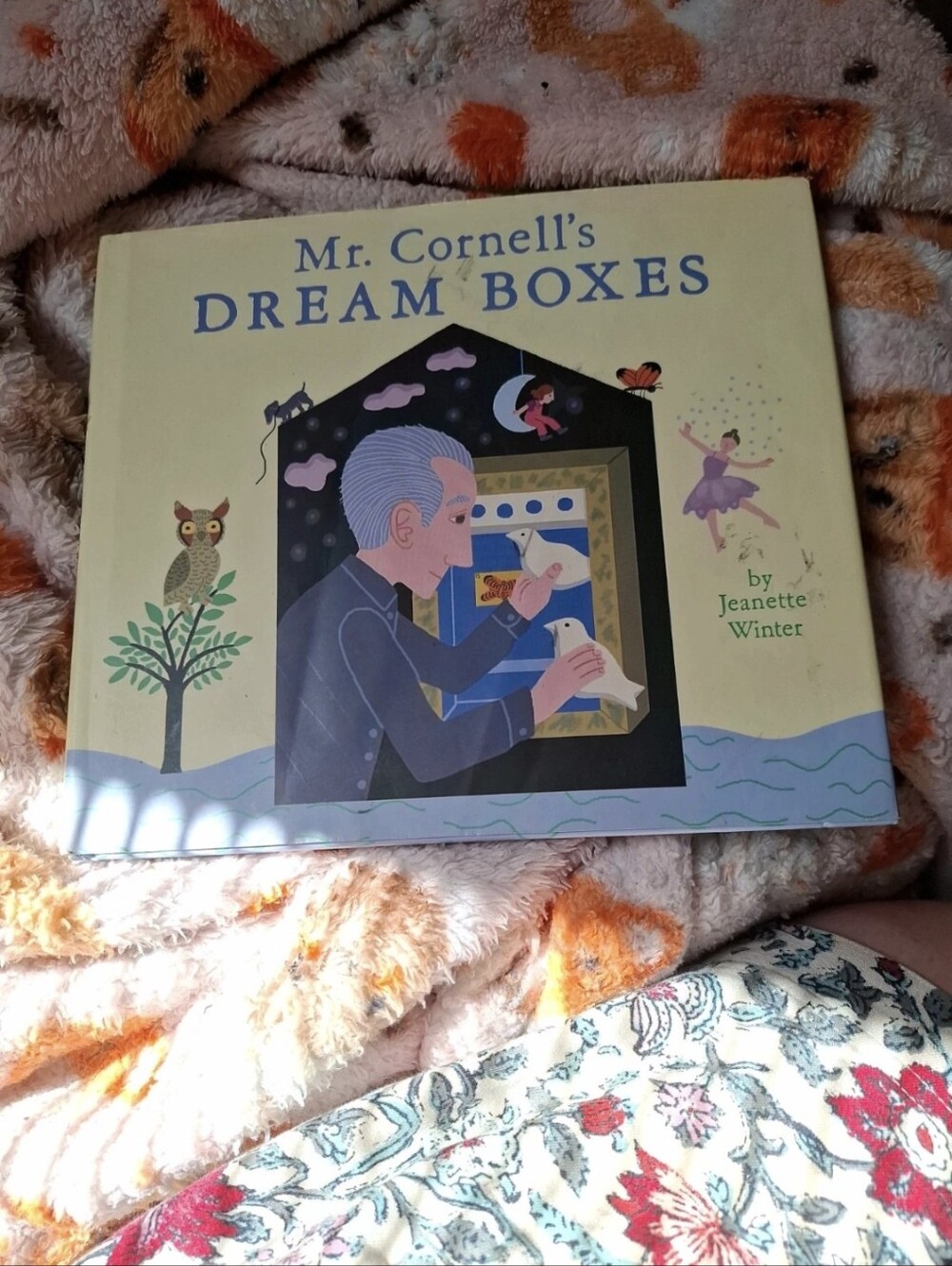 Mr. Cornell's Dream Boxes by - Yellow Hardcover